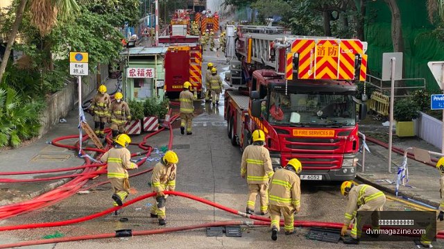 京东电竞战,队崛起,赛事一鸣惊,熊猫体育,熊猫体育公告,最新动态
